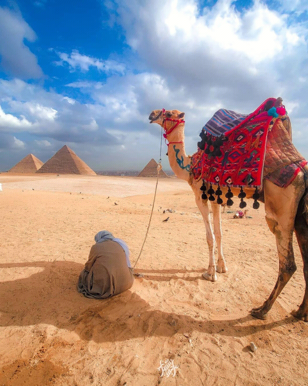 Экскурсии в Египте  2024 : цены на экскурсии в Египте Апрель-Август